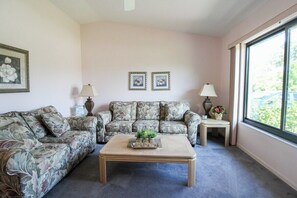 Two Plush Couches