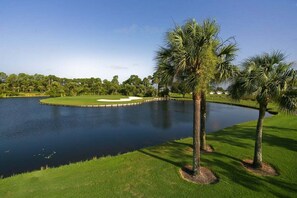 Florida Sunshine