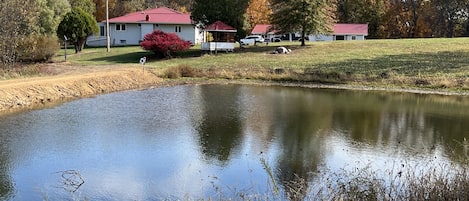 Pond View back towards gazebo  and house