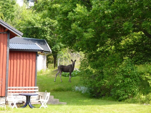 Speisen im Freien