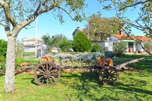 Terrain de l’hébergement 