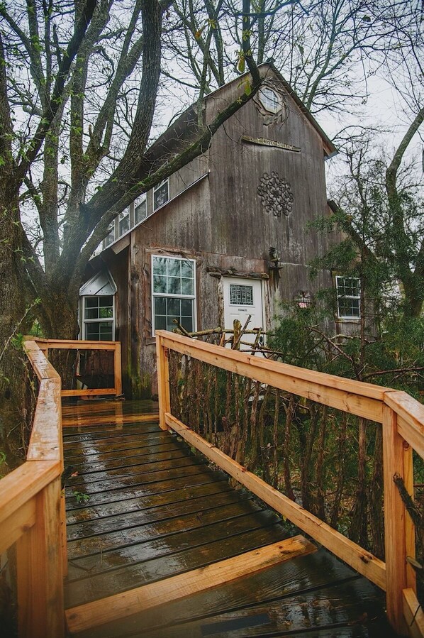 Bare Creek Hollow