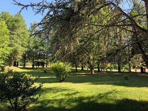 Property grounds