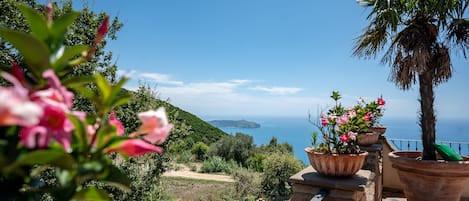 vista dal terrazzo sul golfo di capo palinuro