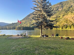 Large, flat backyard