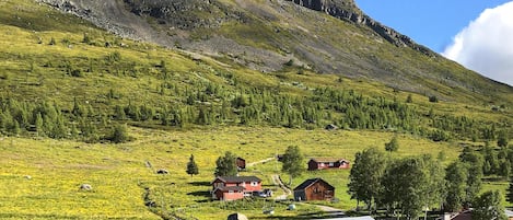 Overnatningsstedets område