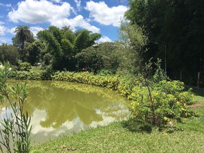 Terrenos do alojamento