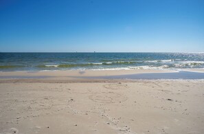 Feelin Salty Gulf Beach