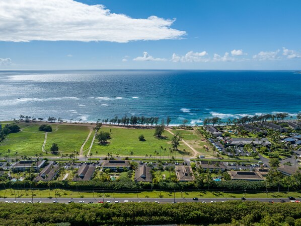 aerial view (1)