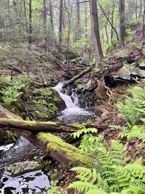 Catlin Brook drops through a series of small waterfalls just below the cabin