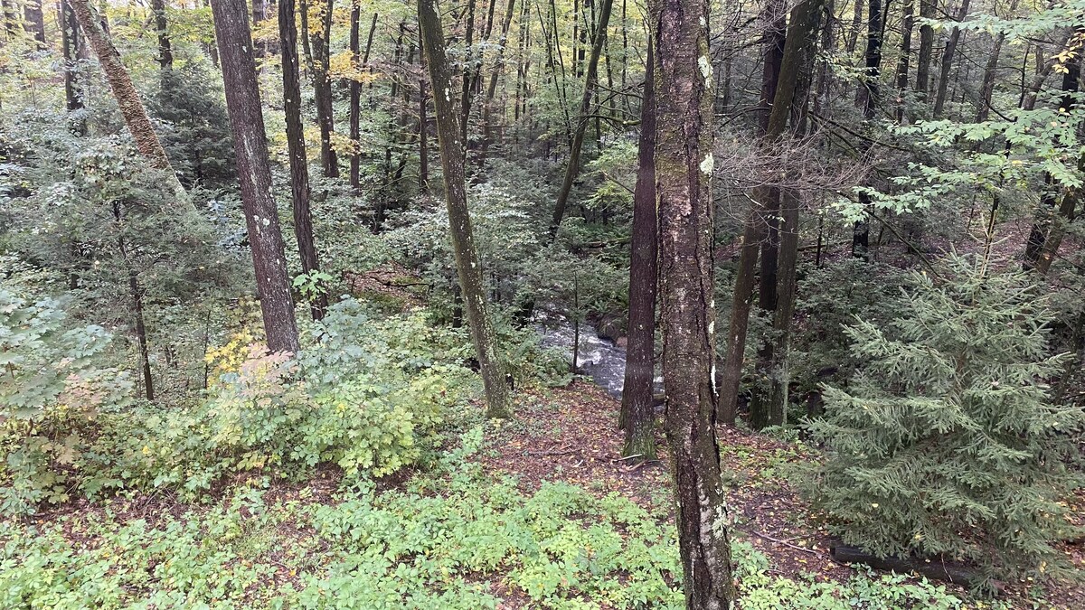Beautiful brook-side log cabin on 3 private acres – 2 bed, 1.5 bath, entire home