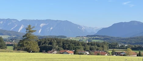 Ferienhaus "Zur schönen Aussicht"