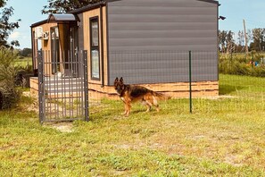 Vue de la maison de vacances [été]