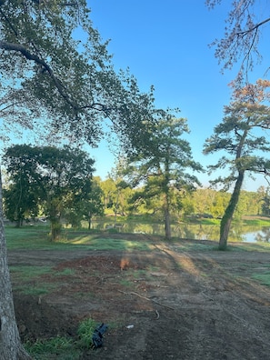 View from back yard of the 2 acre pond