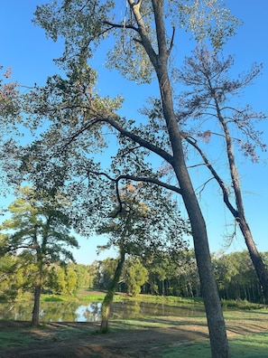 View from back of cabin