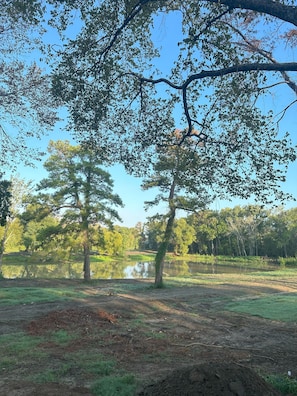 Pond view from back of cabin