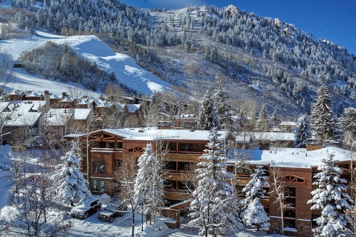 Fasching Haus Unit 303 | Sunny Top Floor Condo, 2 Private Decks, 2 Blocks to Downtown Aspen