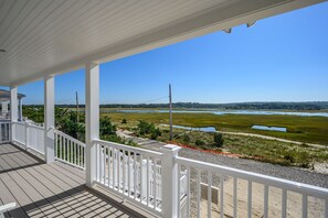 Views of the Tidal Marsh