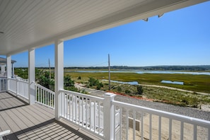 Views of the Tidal Marsh