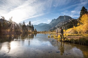 Fir, Tree, Lake, Nature, Outdoors