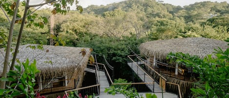 Star treehouse on the left and Moon treehouse on the right