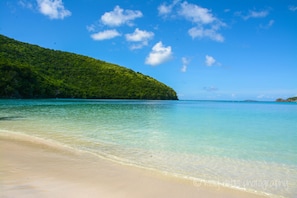 Beautiful Maho Bay Beach
Turtles love swimming on the far-right side of the beac