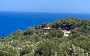 Coralina Cottage is perched on a gentle hill named by the locals "Tower." 