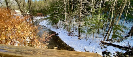 Terrain de l’hébergement 