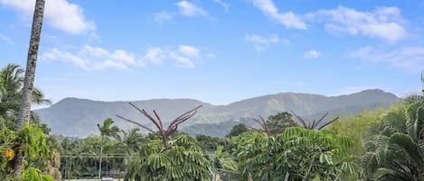 Enjoy this breathtaking view of the tropical mountains