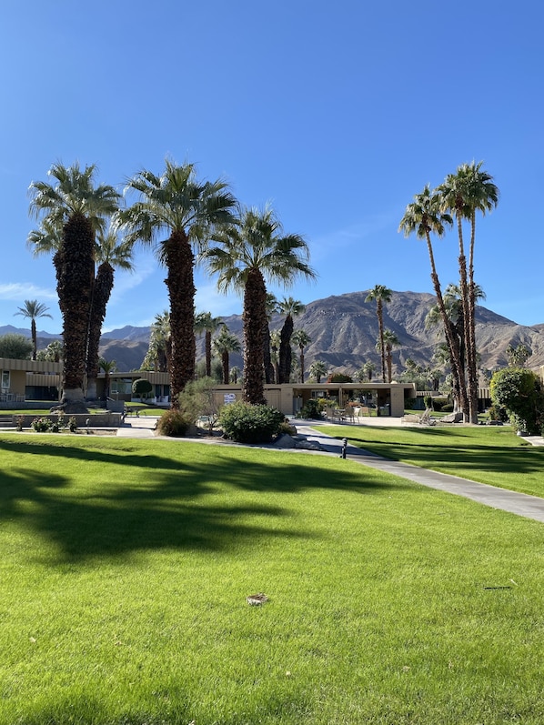 View from patio