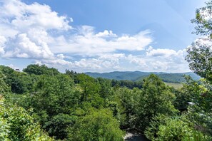 Long Range Mountain Views