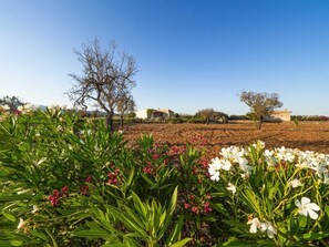 Εξωτερικός χώρος καταλύματος