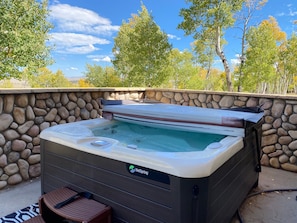 The secluded hot tub