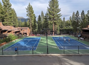 Sport court