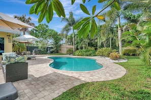 Backyard Pool Oasis