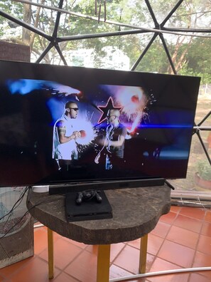 Television