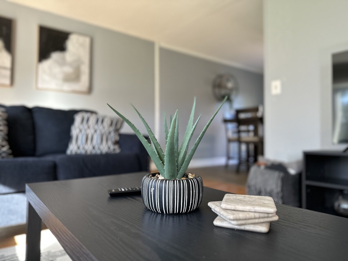 Modern Cozy Home for Families & Pets