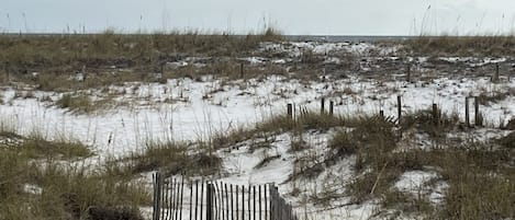 Rear beach view from back porch