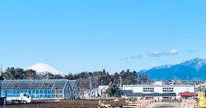 You can see Mt. Fuji