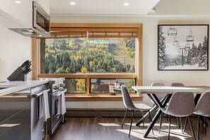 Ski Area Views
