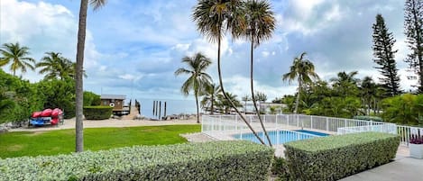 View of the backyard and pool