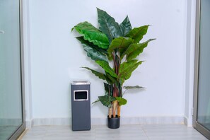 Terraço/pátio interior