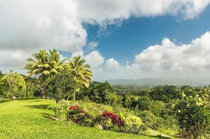Areal view