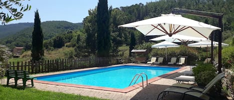 Swimming pool view