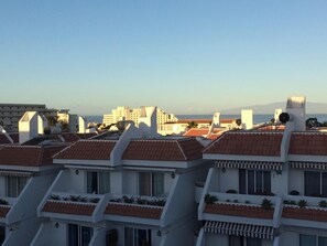 Areal view