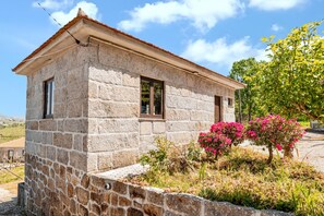 Front view