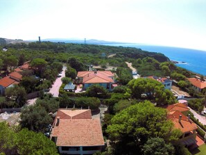 Areal view
