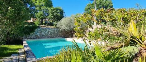 Swimming pool view