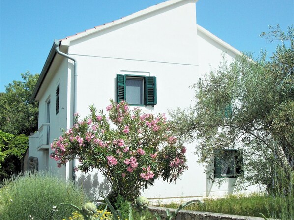 Front view