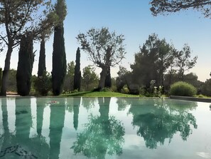 Swimming pool view